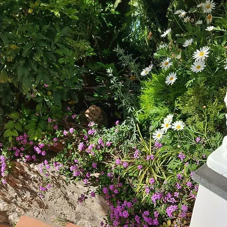 La Follicara * Anacapri (Isola di Capri)