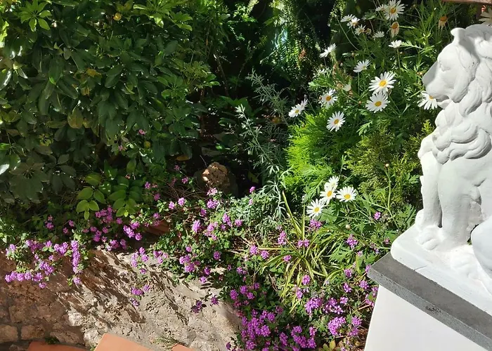 La Follicara * Anacapri (Isola di Capri)