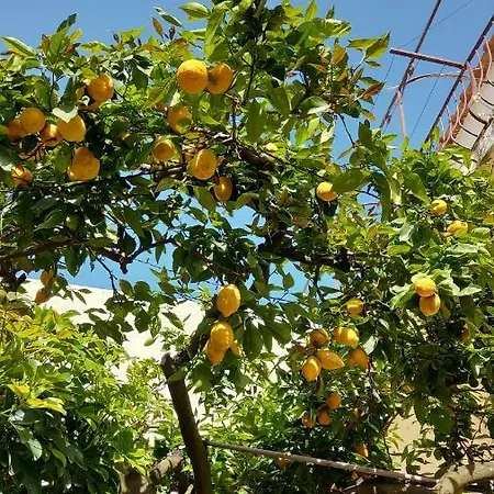 Apartamento La Follicara