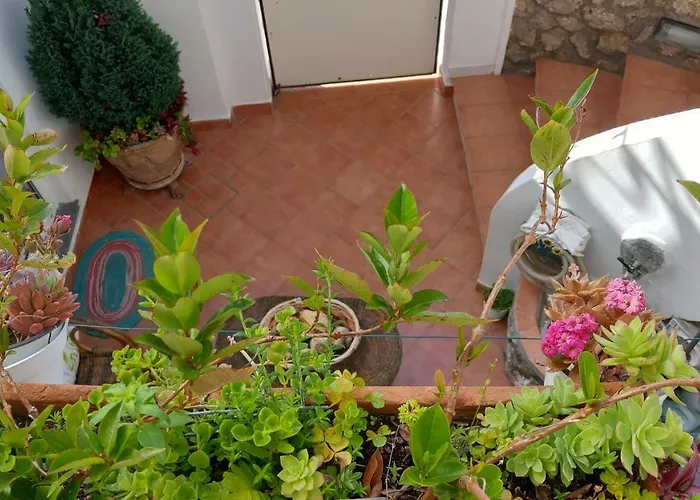 Appartement La Follicara