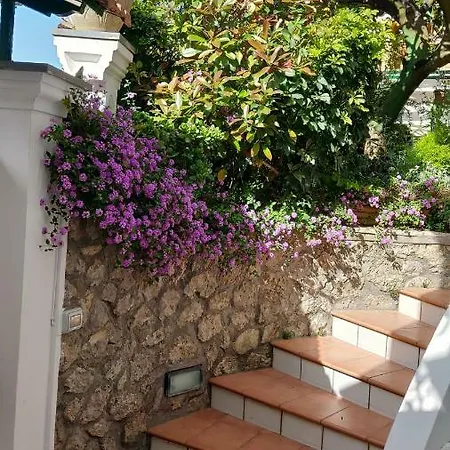 La Follicara *